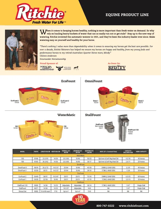 Mini Equine Brochure Single Sheet flier #S7872