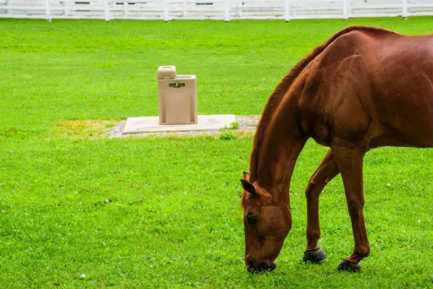 Classic Equine by Ritchie UltraFount 1 18780 - Image 4